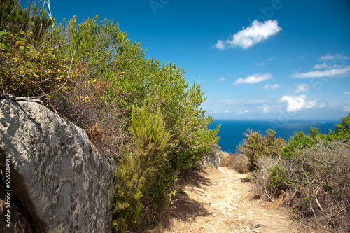 Photo: panorama isola del giglio panorama isola del giglio