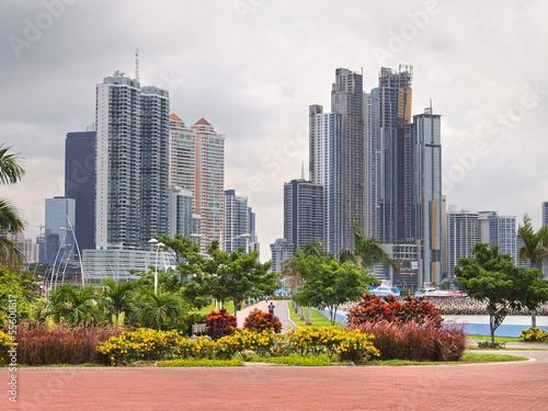 Photo: Panama City skyscraper and flowers Panama City skyscraper and flowers