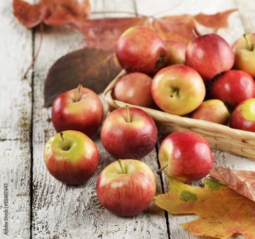Photo: Red Apples Red Apples
