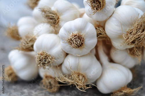 Photo: Garlic Braid details Garlic Braid details