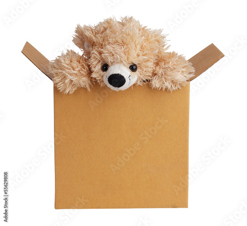 Photo: Teddy bear peeking out of a box Teddy bear peeking out of a box
