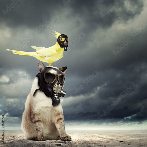 Photo: Cat and parrot in gas masks Cat and parrot in gas masks