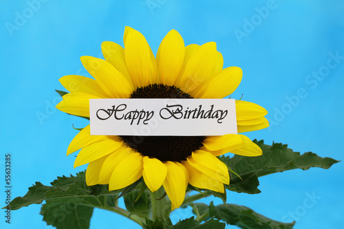 Photo: Happy Birthday card with sunflower Happy Birthday card with sunflower