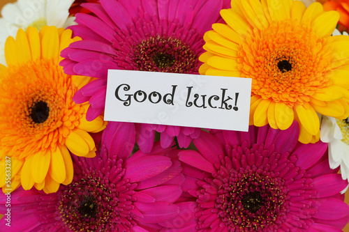 Photo: Good luck card with colorful gerberas Good luck card with colorful gerberas