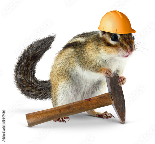 Photo: Chipmunk builder, reconstruction concept Chipmunk builder, reconstruction concept