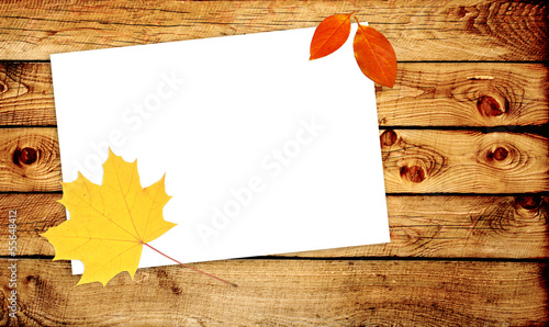 Photo: Autumn message Autumn message