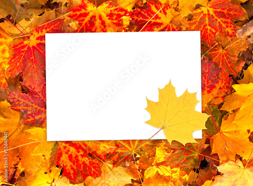 Photo: Background with autumn leaves and paper Background with autumn leaves and paper