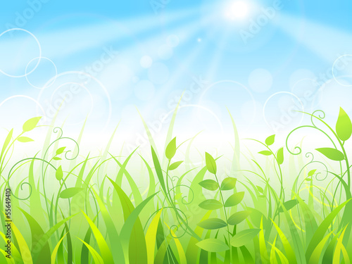 Vector: Summer background Summer background