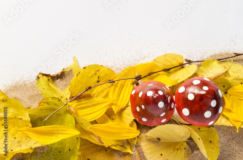 Photo: Herbstliches mit Glückspilzen Herbstliches mit Glückspilzen