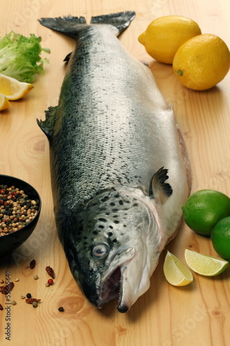 Photo: Salted raw salmon/ trout Salted raw salmon/ trout