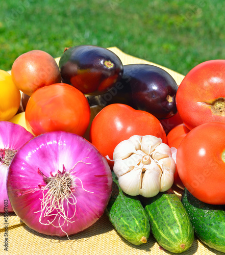 Photo: Fresh vegetables on the green grass Fresh vegetables on the green grass