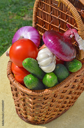 Photo: Raw, ripe vegetables in the picnic basket Raw, ripe vegetables in the picnic basket