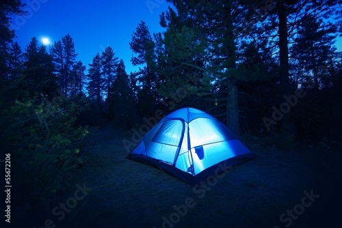 Photo: Forest Camping - Tent Forest Camping - Tent