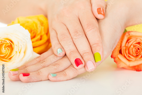 Photo: Female Hand On Flower Female Hand On Flower