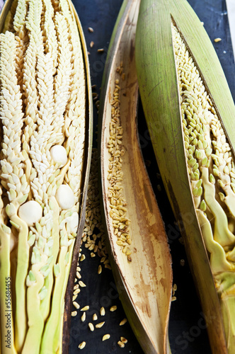 Photo: Close up coconut flower - selective focus Close up coconut flower - selective focus