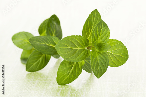Photo: Mint leaves on green background. Mint leaves on green background.