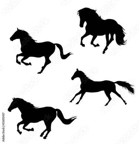 Vector: Horses silhouettes Horses silhouettes