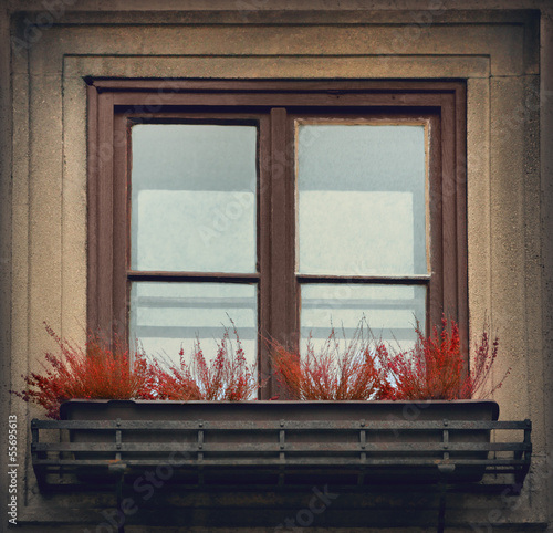 Photo: Window Window