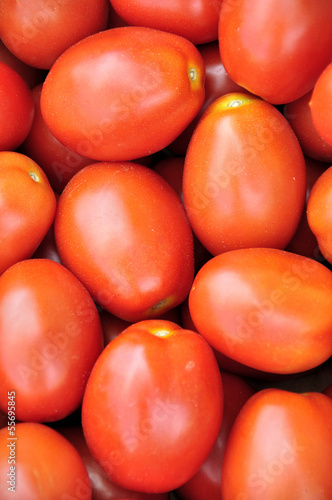 Photo: Tomates olivettes Tomates olivettes