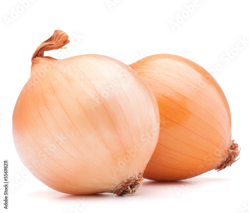 Photo: Gold onion vegetable bulbs Gold onion vegetable bulbs