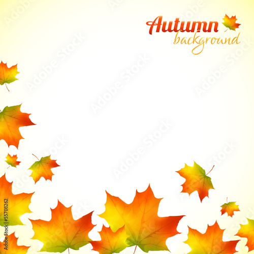 Vector: Autumn falling down foliage vector background Autumn falling down foliage vector background