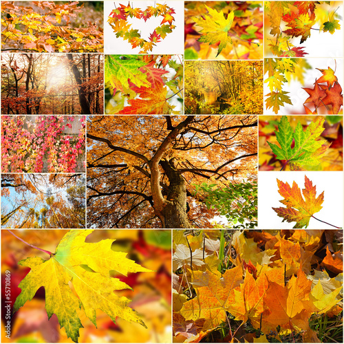 Photo: Herbst-Collage Herbst-Collage
