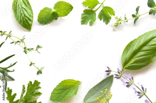 Photo: herbal leaves herbal leaves