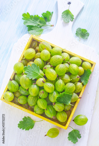 Photo: gooseberry gooseberry
