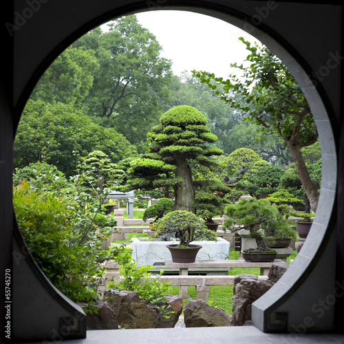 Photo: Bonsai Garden - Suzhou - China Bonsai Garden - Suzhou - China