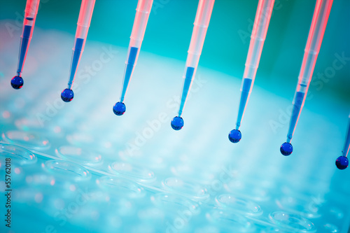 Photo: pipette pipette