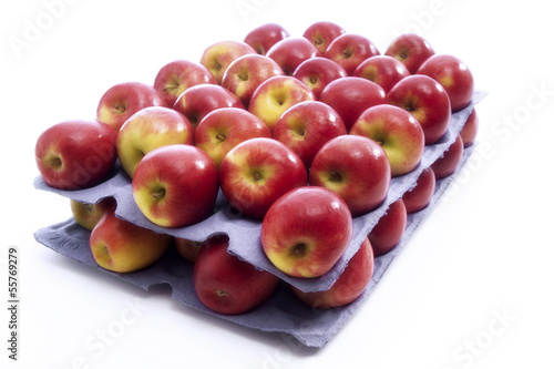 Photo: Frische Äpfel - Sorte Jazz Frische Äpfel - Sorte Jazz