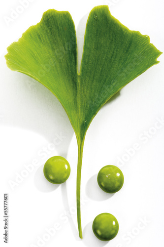 Photo: Ginkgo Blätter und Pillen, Nahaufnahme Ginkgo Blätter und Pillen, Nahaufnahme