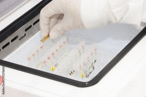 Photo: Laboratory-Blood Bank Laboratory-Blood Bank