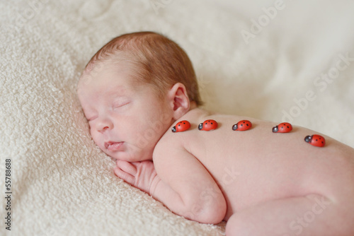 Photo: sweet and soft newborn sweet and soft newborn