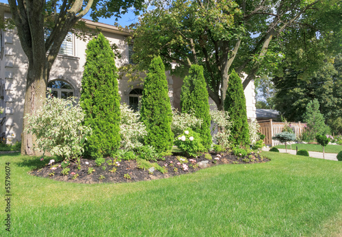 Photo: Herbaceous Border with cypress trees Herbaceous Border with cypress trees