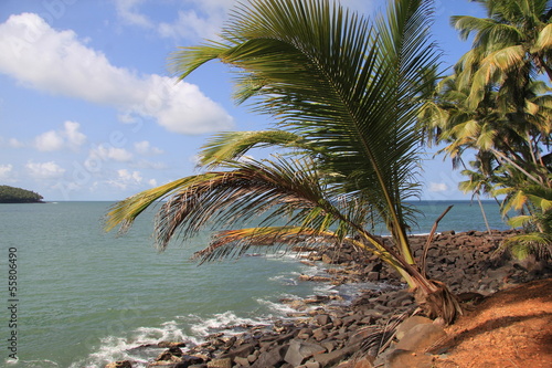 Photo: Les Îles du Salut - Août 2013 Les Îles du Salut - Août 2013