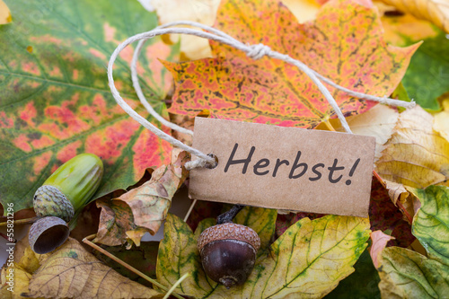 Photo: herbst herbst