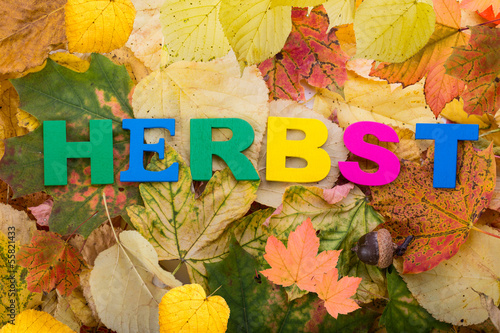 Photo: herbst herbst