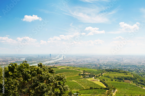 Photo: view of the city from the Vienna Woods view of the city from the Vienna Woods
