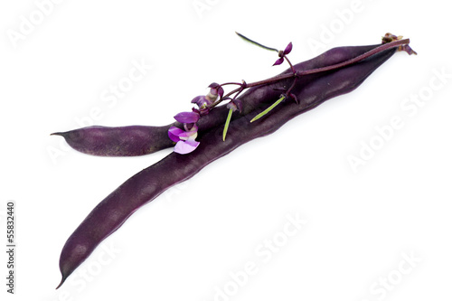 Photo: Red bean pods Red bean pods