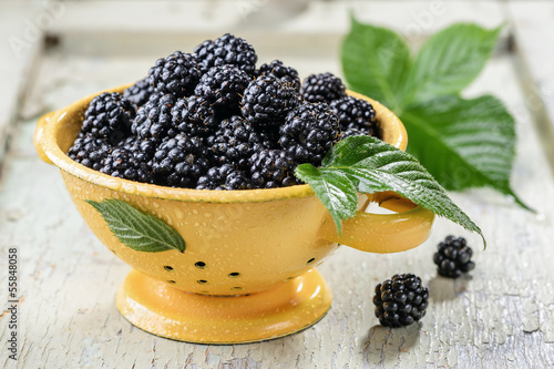 Photo: Blackberry with leaves and water drops Blackberry with leaves and water drops