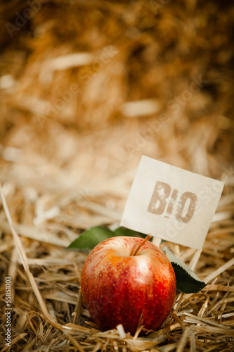 Photo: Tasty red apple on straw, tagged as "bio" product Tasty red apple on straw, tagged as "bio" product