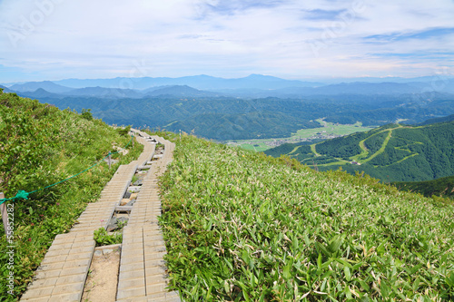 Photo: 八方尾根自然研究路 八方尾根自然研究路