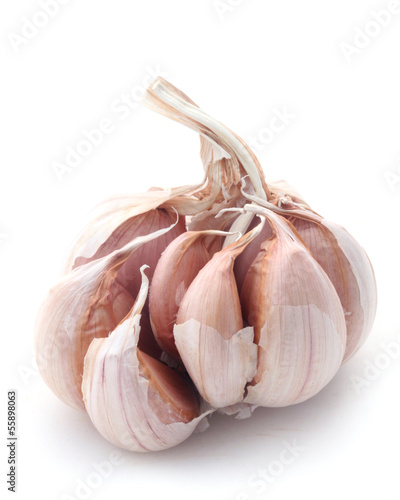 Photo: Garlic Garlic
