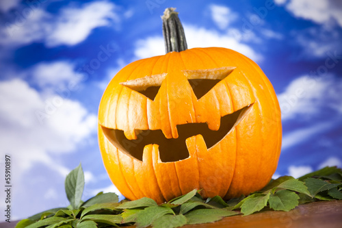 Photo: Pumpkin for Halloween Pumpkin for Halloween
