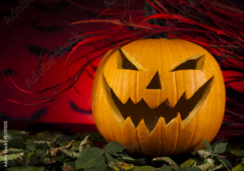 Photo: Halloween pumpkin in the Grass Bats Halloween pumpkin in the Grass Bats