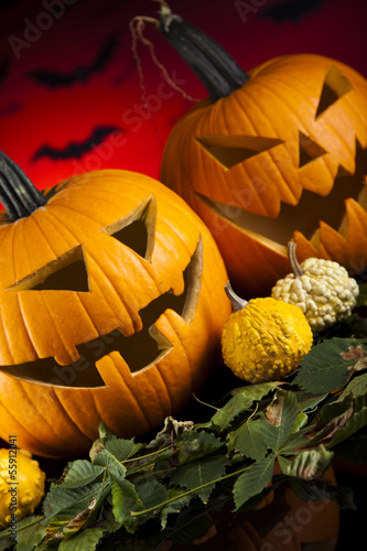Photo: Halloween background with pumpkins in the Grass Bats Halloween background with pumpkins in the Grass Bats