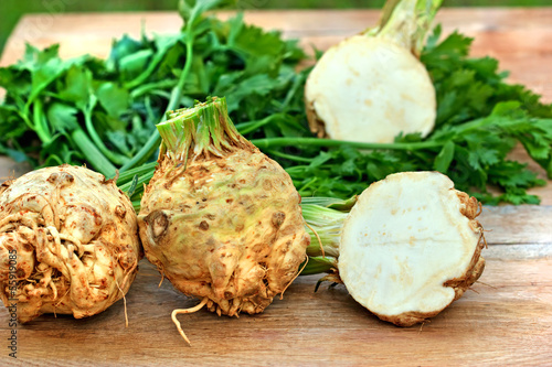 Photo: Organic elery (root celery and leaves of celery) Organic elery (root celery and leaves of celery)