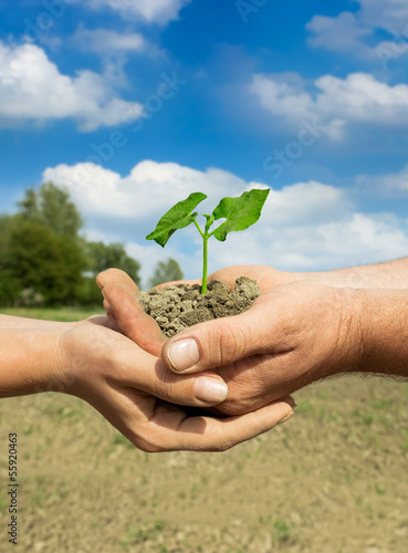 Photo: couple farmers holding plant couple farmers holding plant
