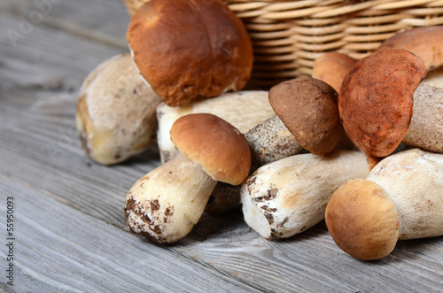 Photo: The raw boletus edulis a background The raw boletus edulis a background